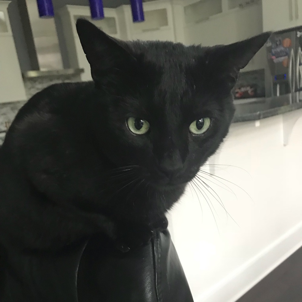 Meet your Posher, Claire